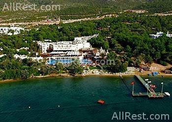Coralia Club Milta 23